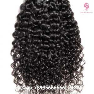 burmese-curly-hair-cw6-1
