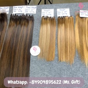 vietnamese-bone-straight-hair-weft-piano-color-ws5-1