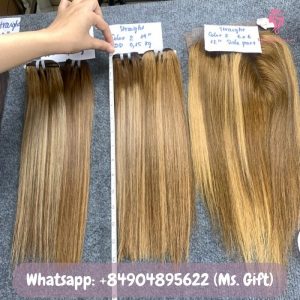 vietnamese-bone-straight-hair-weft-piano-color-ws5-2