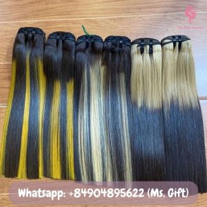 vietnamese-bone-straight-hair-weft-piano-color-ws5-7